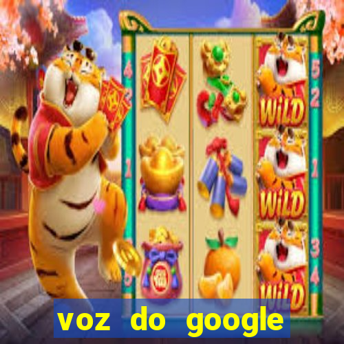 voz do google tradutor homem